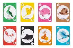 The Wild Bunch - A Crazy Eights Card Game
