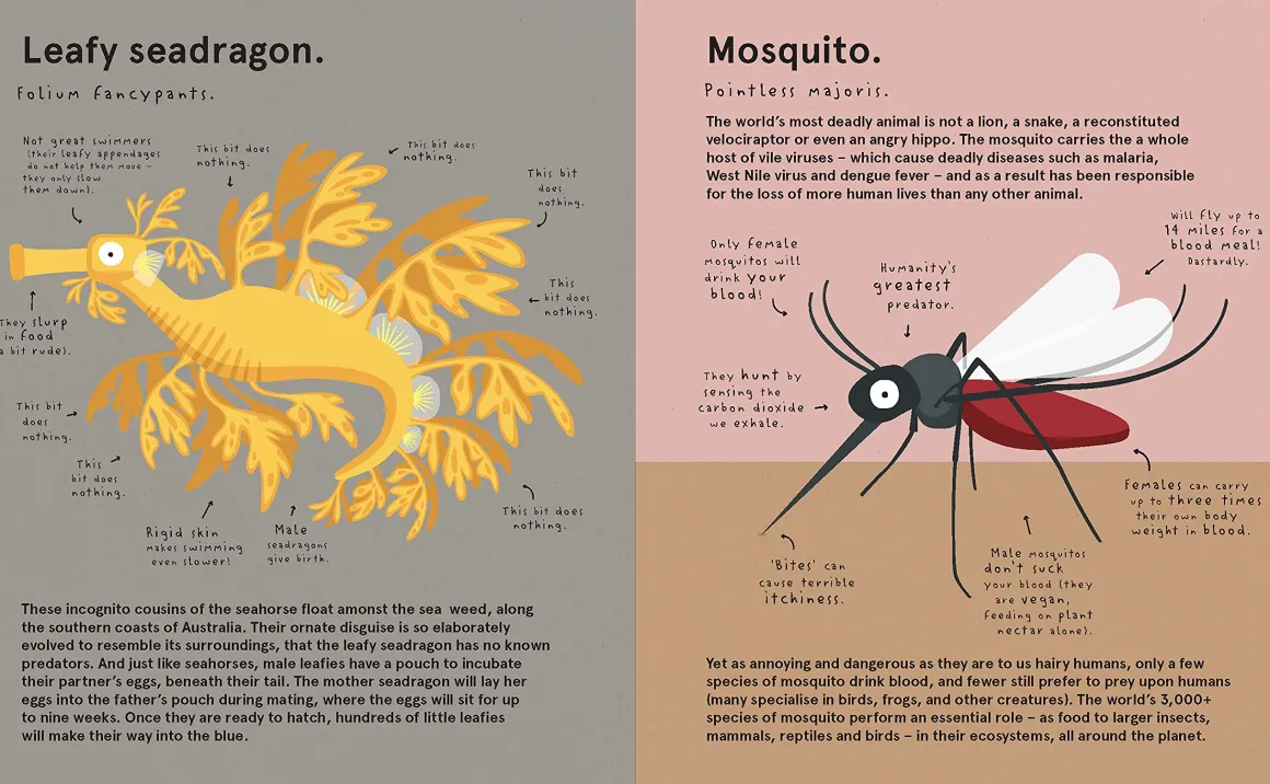 The World's Most Pointless Animals | Or are they?