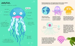 The World's Most Pointless Animals | Or are they?