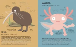The World's Most Pointless Animals | Or are they?
