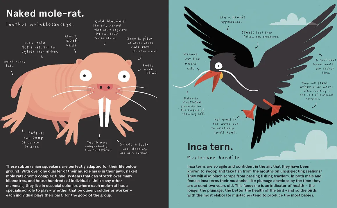 The World's Most Pointless Animals | Or are they?