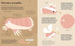 The World's Most Pointless Animals | Or are they?