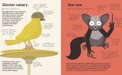 The World's Most Pointless Animals | Or are they?