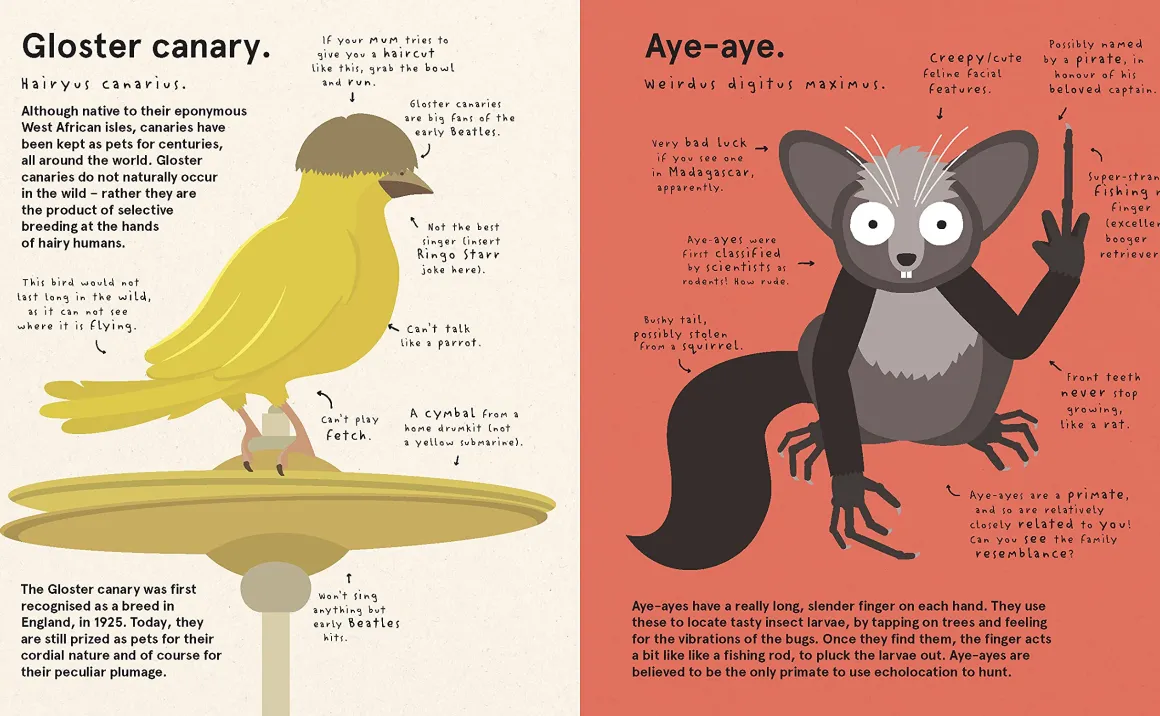 The World's Most Pointless Animals | Or are they?