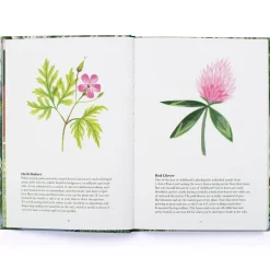 100 Things to do in a Forest