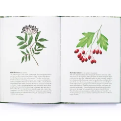 100 Things to do in a Forest