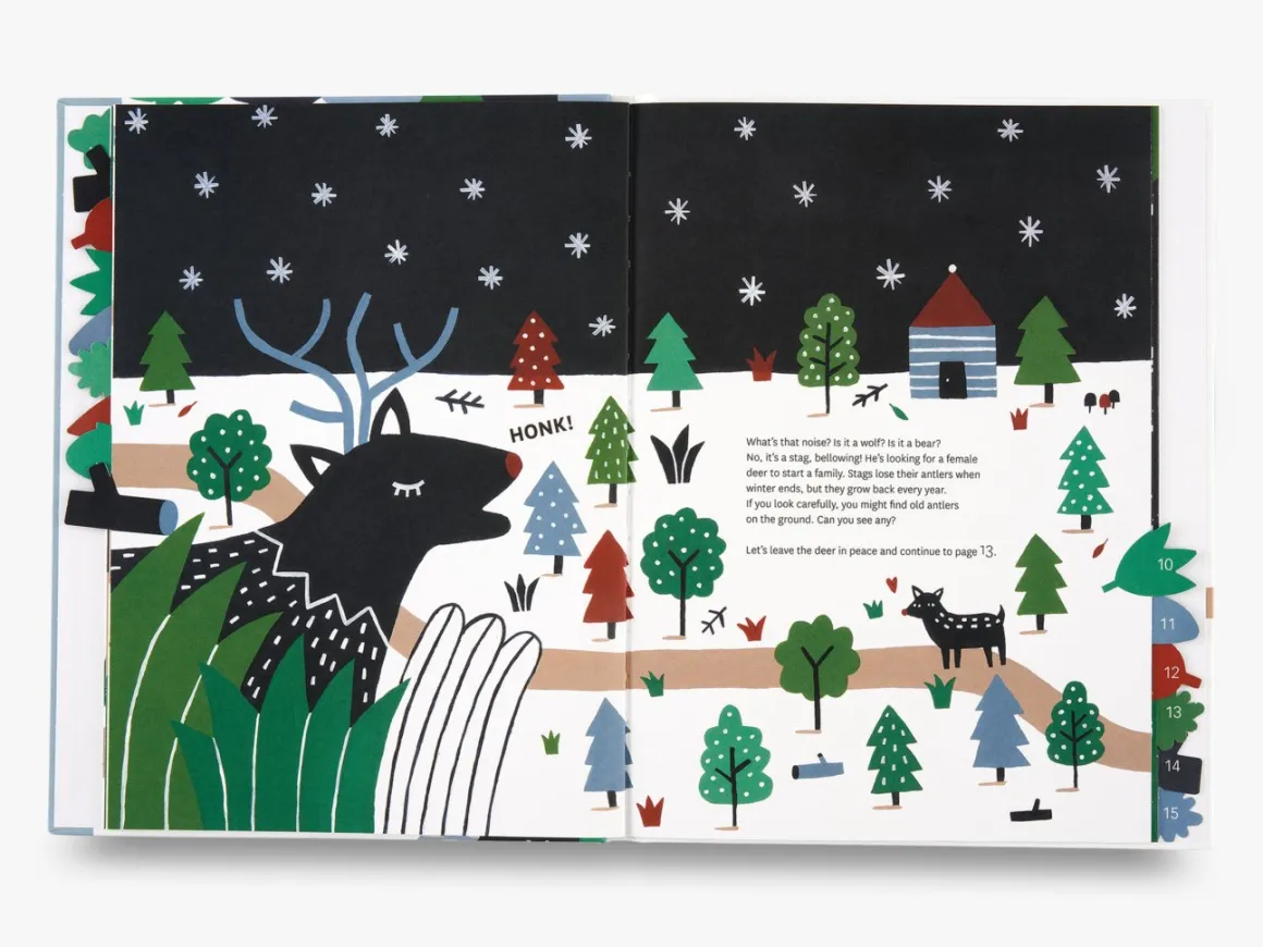Through the Forest Book