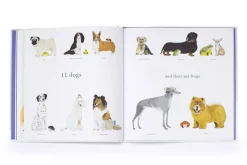 1 to 20 Animals Aplenty