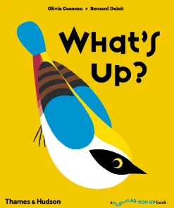 What's Up? (A Flip Flap Pop Up Book)