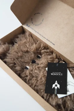 WONDER PALS Bear 2 in 1 - Wots Dat