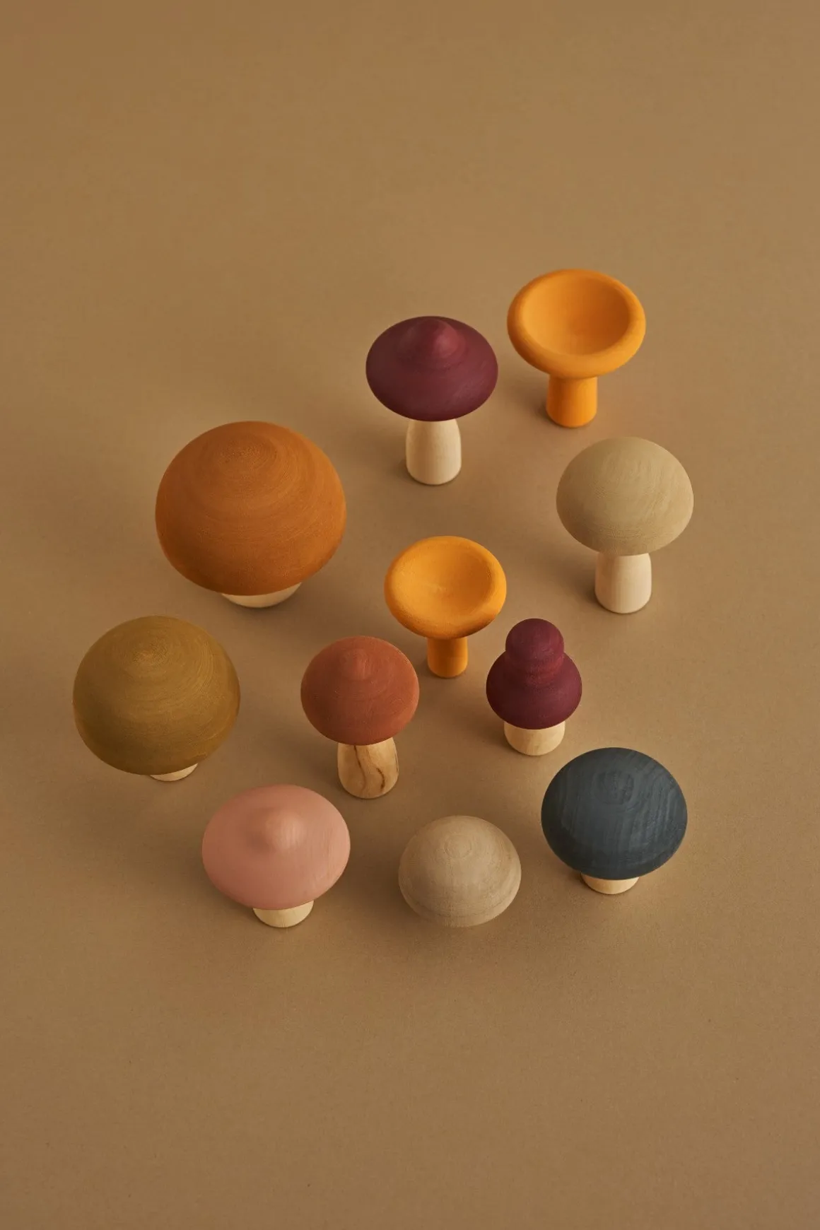 Wooden Mushrooms Set