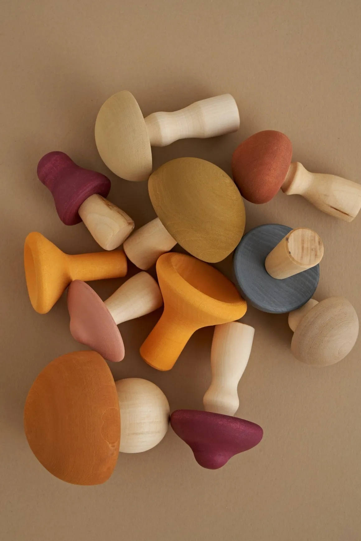 Wooden Mushrooms Set